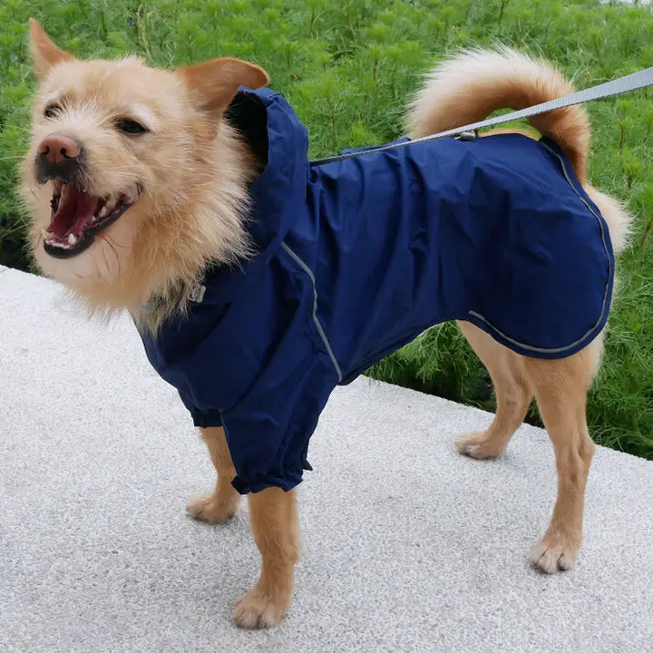 Blueberry Waterproof Reflective Dog Raincoat with 2 Legs | Kanu Pets