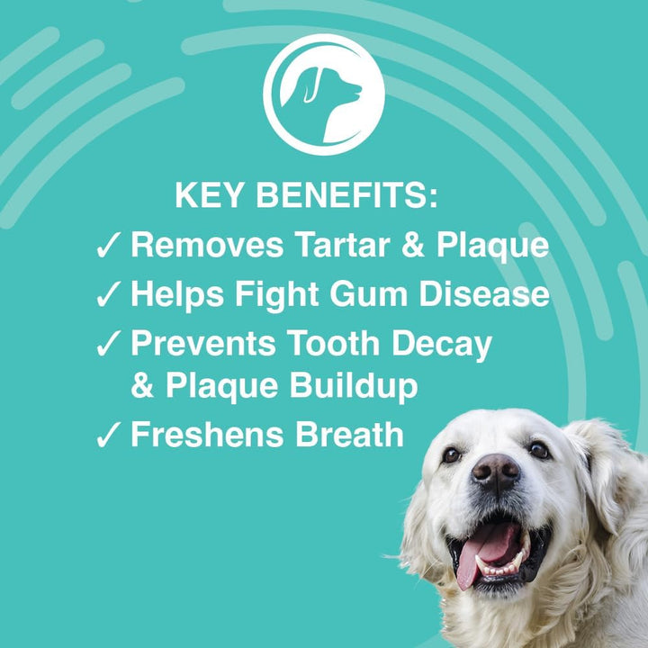 Nootie Oral Solutions Antimicrobial Dental Gel for Dogs | Kanu Pet