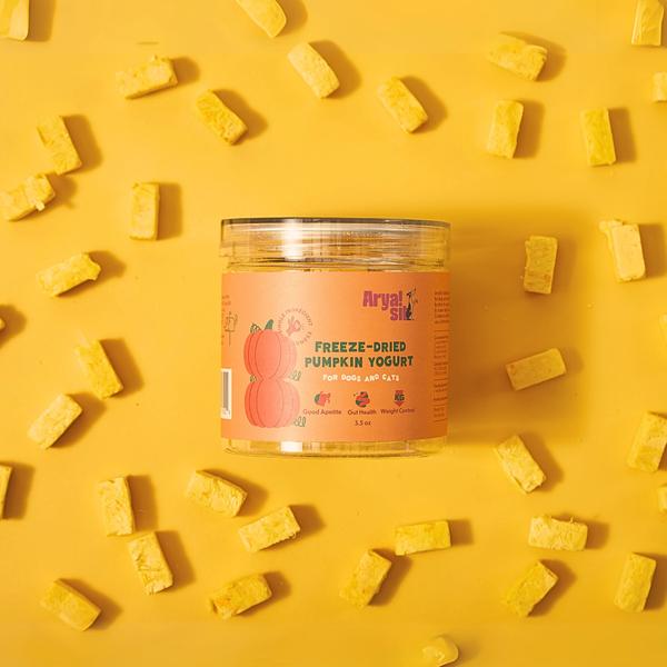Arya Sit Freeze-Dried Pumpkin Yogurt | Kanu Pet