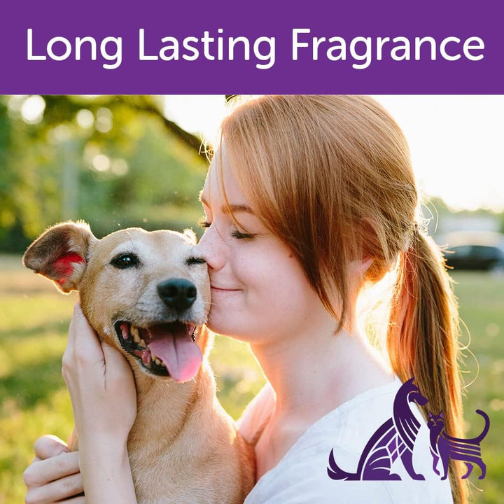Nootie Hypo-Allergenic Waterless Foaming Dog & Cat Shampoo | Kanu Pet