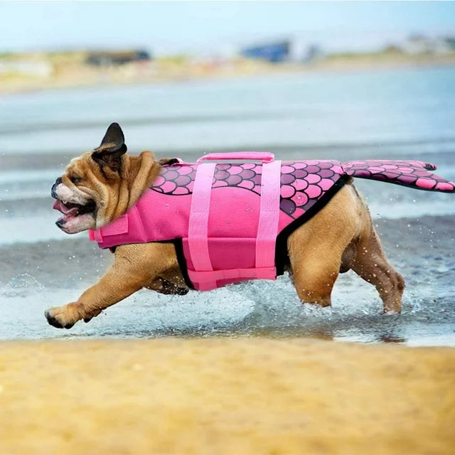 Dog Hugs Cat Mermaid Dog Life Jacket | Kanu Pet