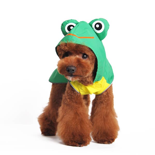 Dogo Pet Frog Dog Raincoat | Shop Online