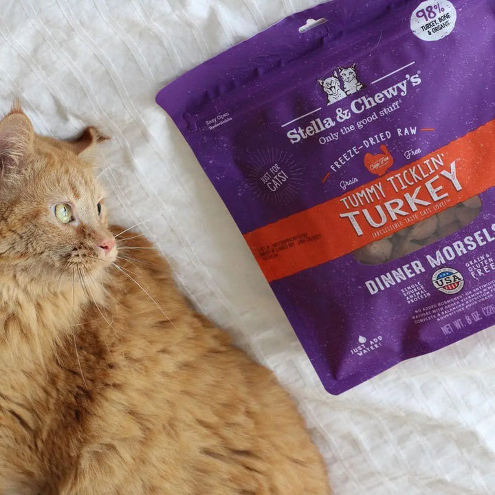 Stella & Chewy's Tummy Ticklin Turkey Cat Food | Kanu Pet