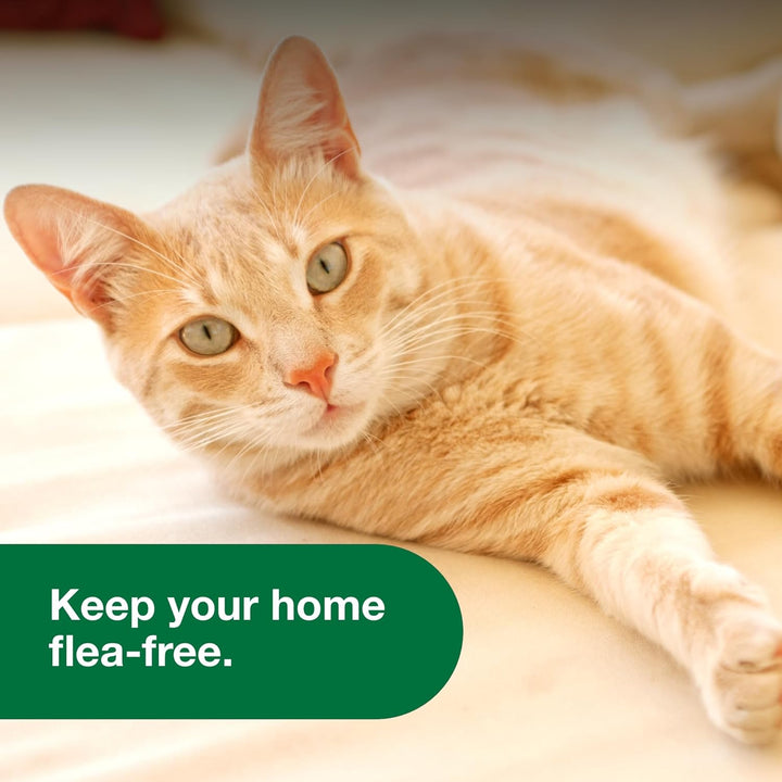 Advantage II Cats | Kanu Pet