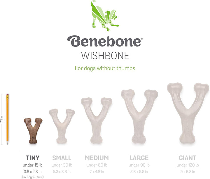 Benebone Puppy 2pack Bacon Wishbone Dental Chew Toy | Kanu Pet