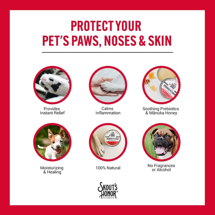 Skout's Honor Prebiotic Pet Balm For Dogs & Cats | Kanu Pet