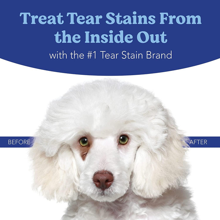 Angels' Eyes Plus® Tear Stain Powder Chicken  Supplement for Dogs & Cats  75 G | Kanu Pet