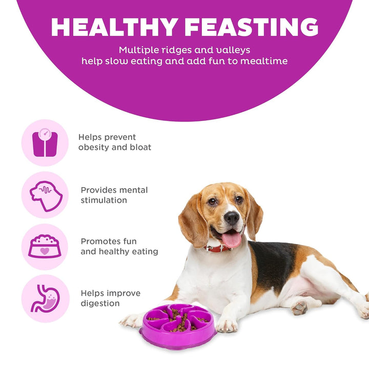 Outward Hound Fun Feeder Slo Dog Bowl | Kanu Pet