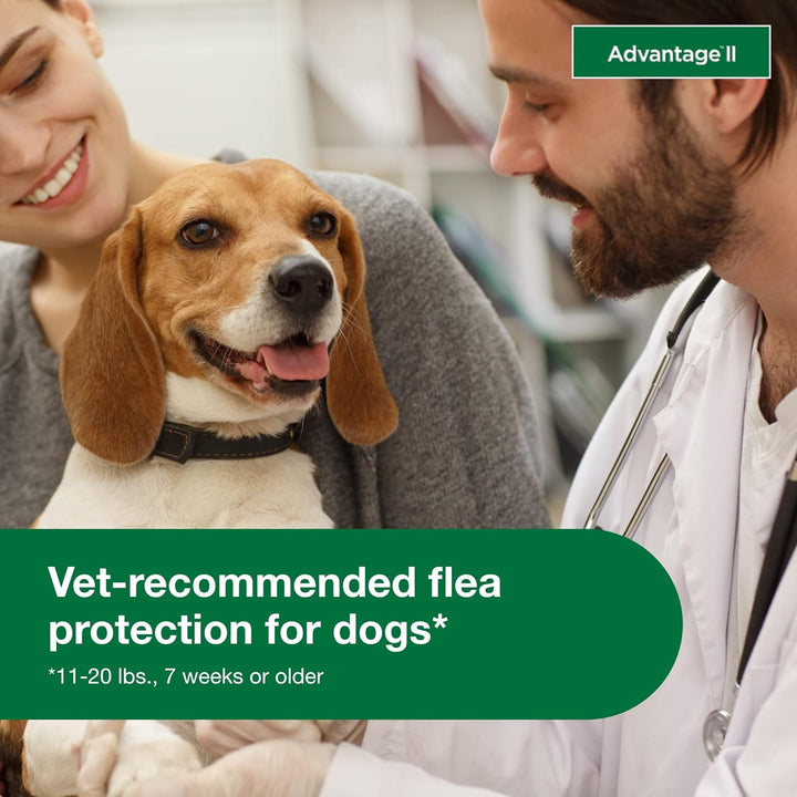 Advantage II for Dog Flea & Tick | Kanu Pet