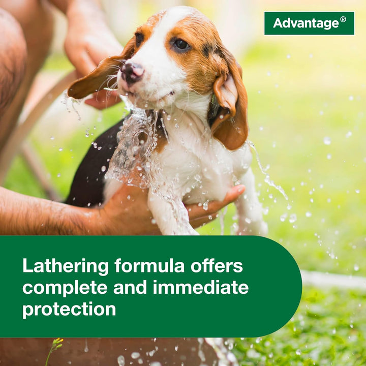 Advantage Flea & Tick Treatment Shampoo for Dogs & Puppies | Kanu Pet