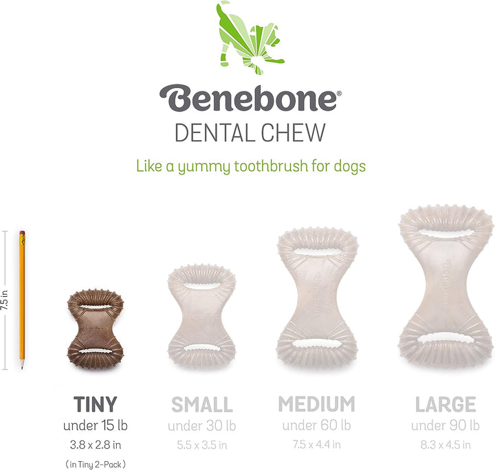 Benebone Puppy 2pack Bacon Wishbone Dental Chew Toy | Kanu Pet