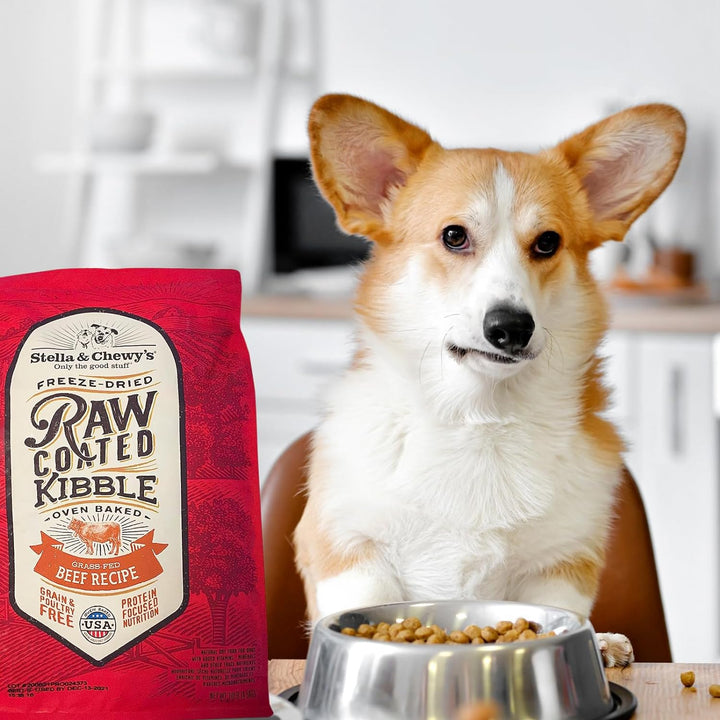 Stella & Chewy's Dog Raw Coated Freeze-Dried Dog Food | Kanu Pet