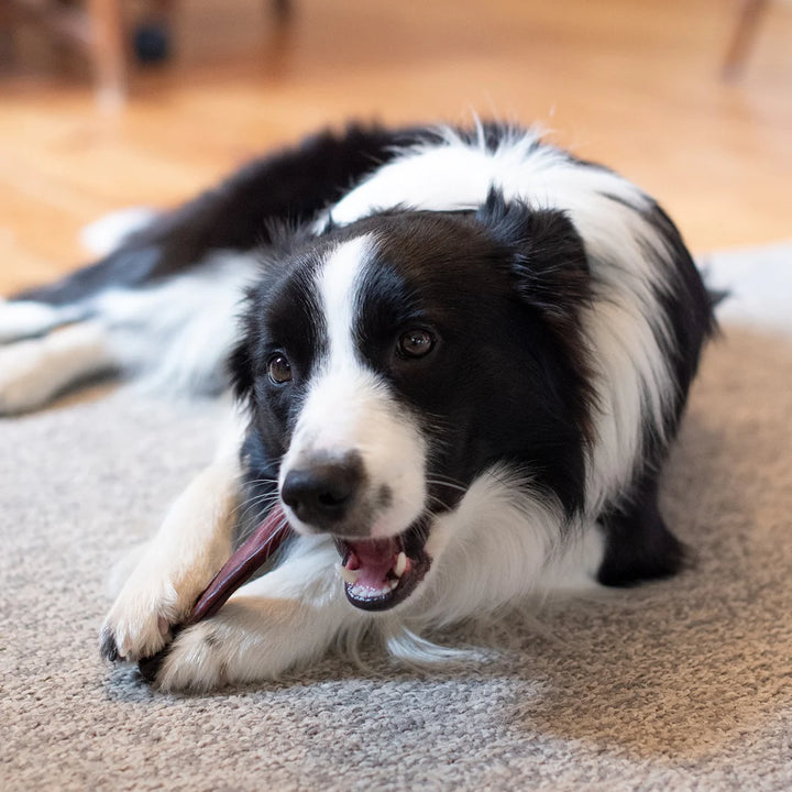 Home Range Beef Chomper Dog Treat | Kanu Pet