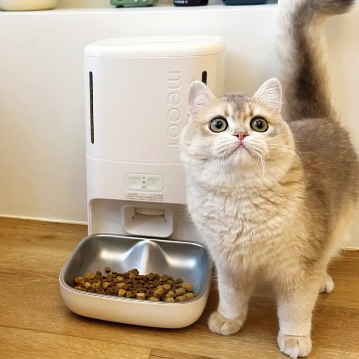 Curatepet Smart Feeder With Camera for Dogs & Cats | Kanu Pet