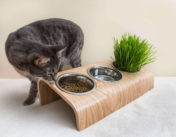 ValiaiDesign - Pet feeding station with 3 bowls, Pet bowls with stand