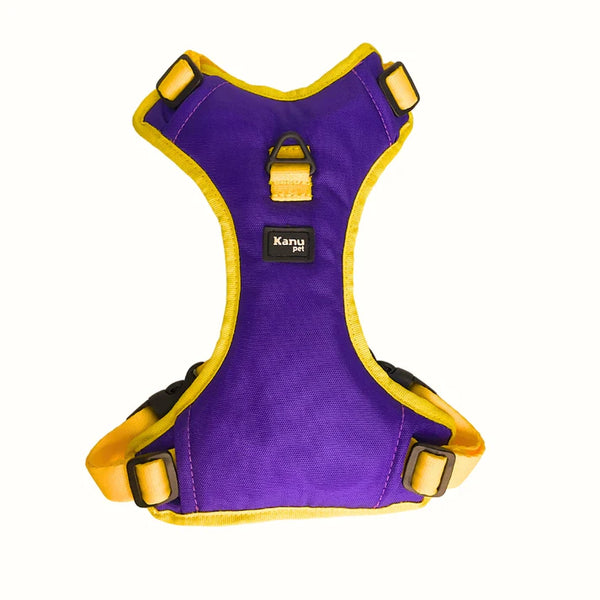 Kanu Pet Harness Purple/Yellow Navy for Dogs