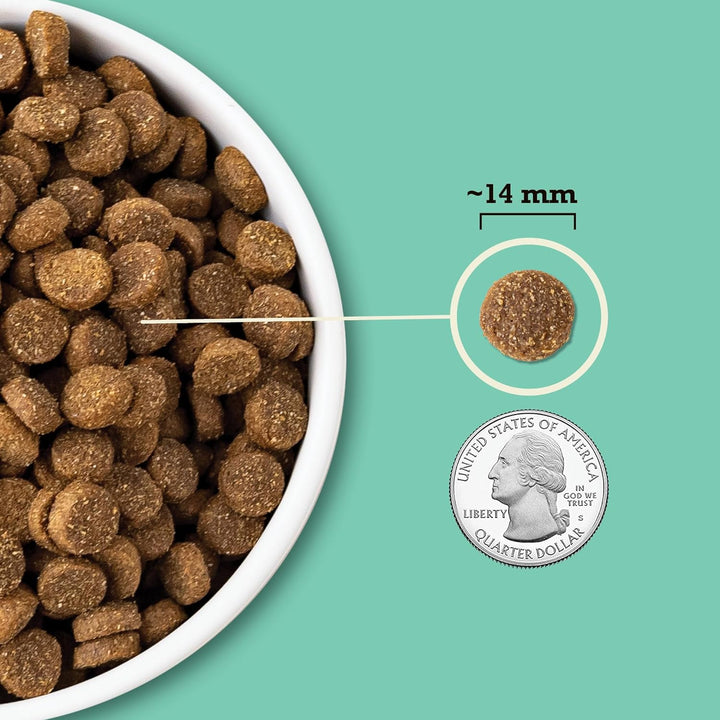 Acana Wholesome Grains/ Lamb & Pumpkin Dry Dog Food | Kanu Pet