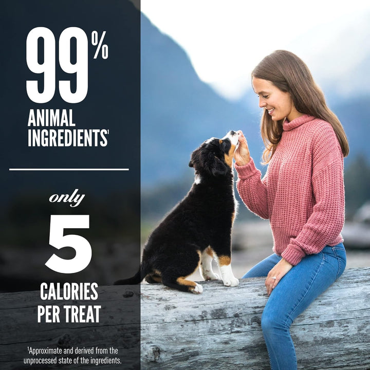 Orijen Ranch Beef Recipe Freeze-Dried Dog Treats | Kanu Pet