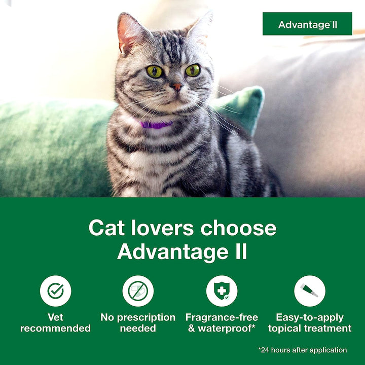 Advantage II Cats | Kanu Pet