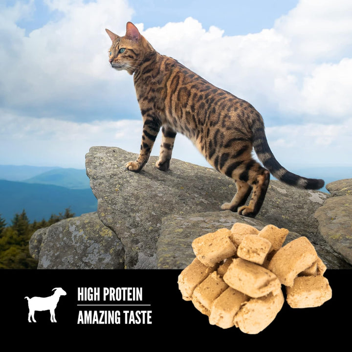 Orijen Tundra Freeze-Dried Cats Treats | Kanu Pet