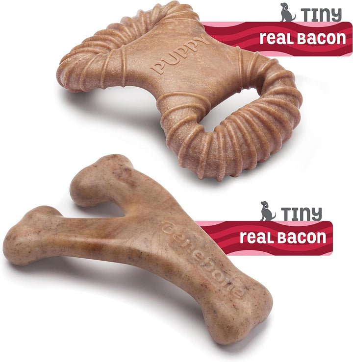 Benebone Puppy 2pack Bacon Wishbone Dental Chew Toy | Kanu Pet