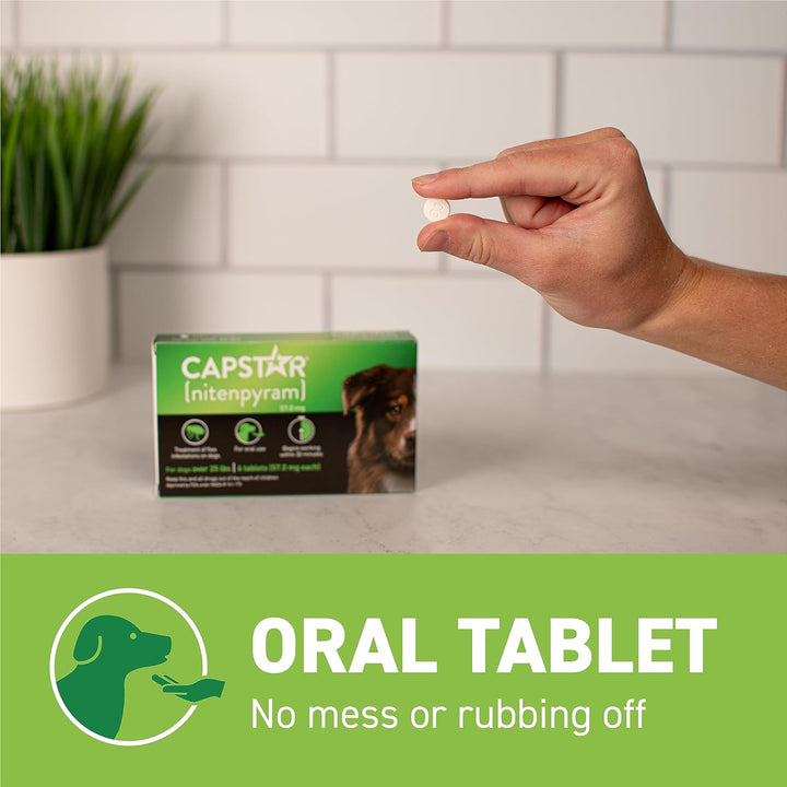 Capstar Flea Treatment for Dogs (25Lb Up) | Kanu Pet