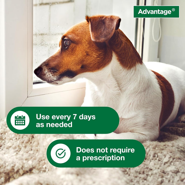 Advantage Flea & Tick Treatment Shampoo for Dogs & Puppies | Kanu Pet