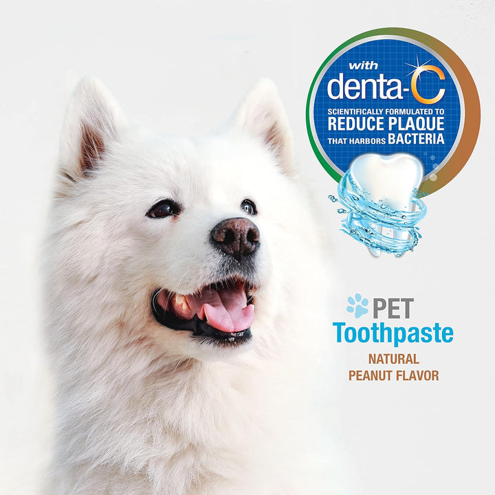 Nylabone Natural Toothpaste for Dogs | Kanu Pet