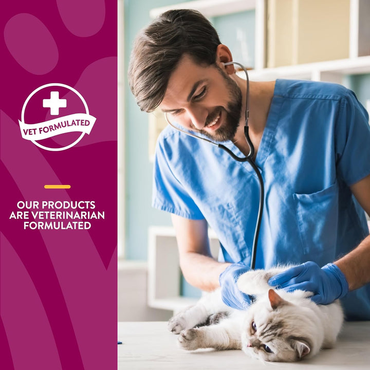 NaturVet Wheat Free Hip & Joint Omegas Cat Soft Chew | Kanu Pet