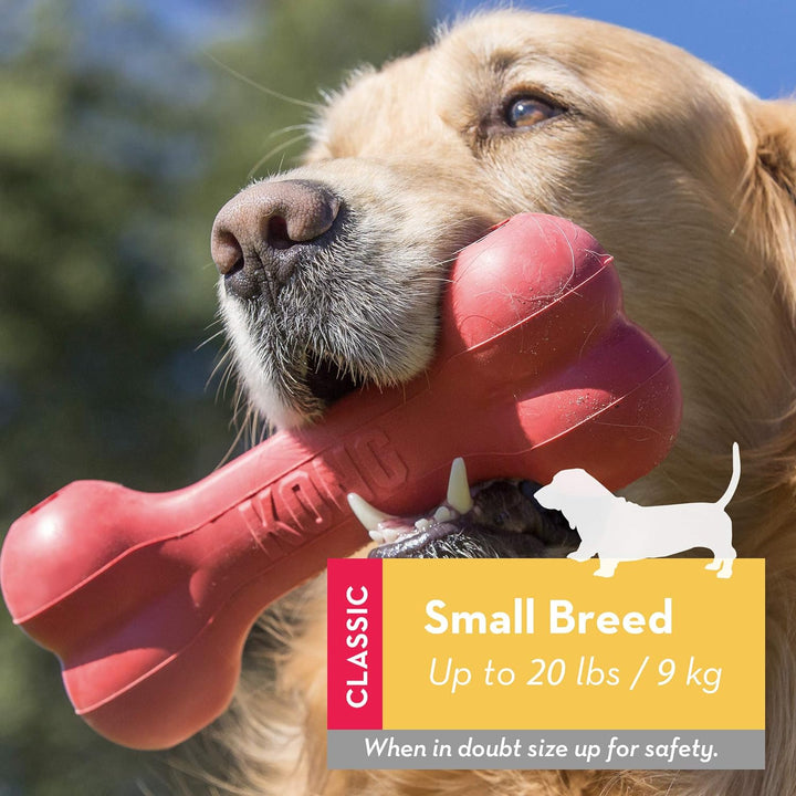 Kong Goodie Bone Dog Toy | Kanu Pet