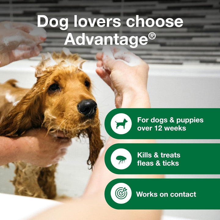 Advantage Flea & Tick Treatment Shampoo for Dogs & Puppies | Kanu Pet