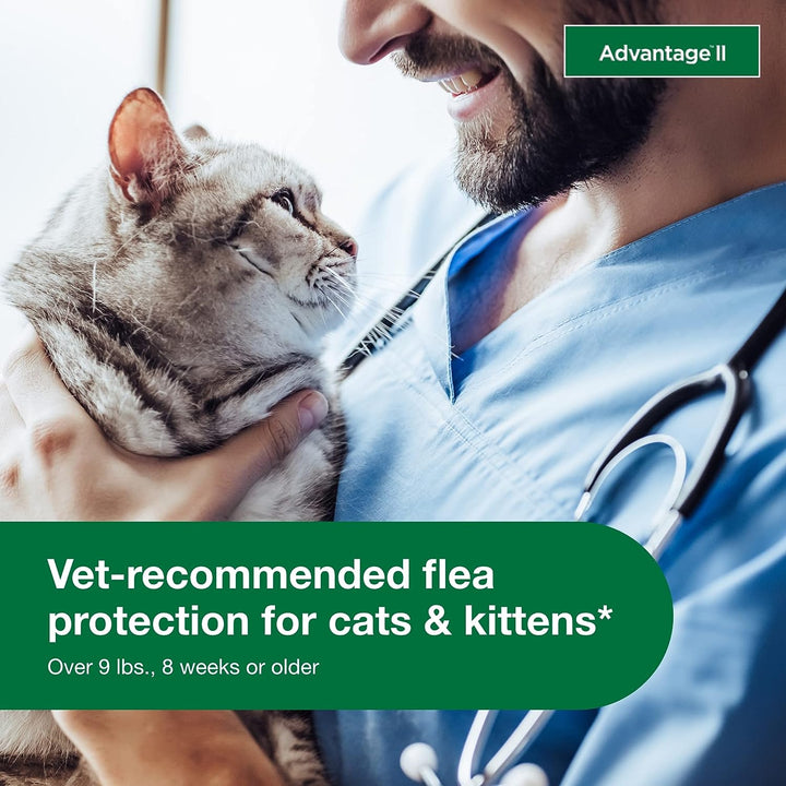 Advantage II Cats | Kanu Pet