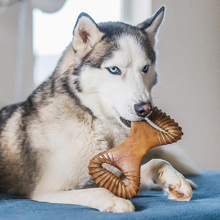 Benebone Dental Chew Bacon Flavor Dog Treat Toy | Kanu Pet