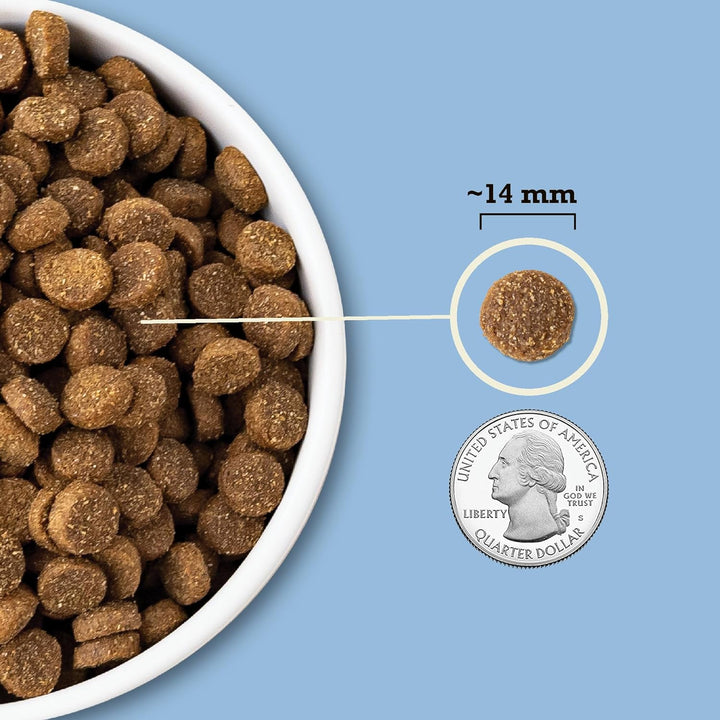 Acana Singles Wholesome Grains / Duck & Pumpkin Dry Dog Food| Kanu Pet