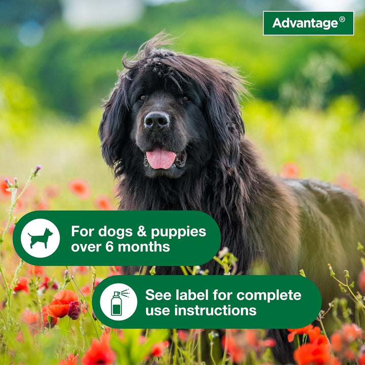 Advantage Topical & Indoor Flea & Tick Spray for Dogs / Puppies | Kanu Pet