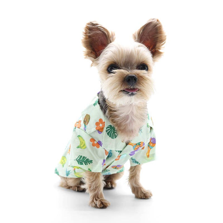 Dogo Pet Vacation Dog Shirt | Kanu Pet