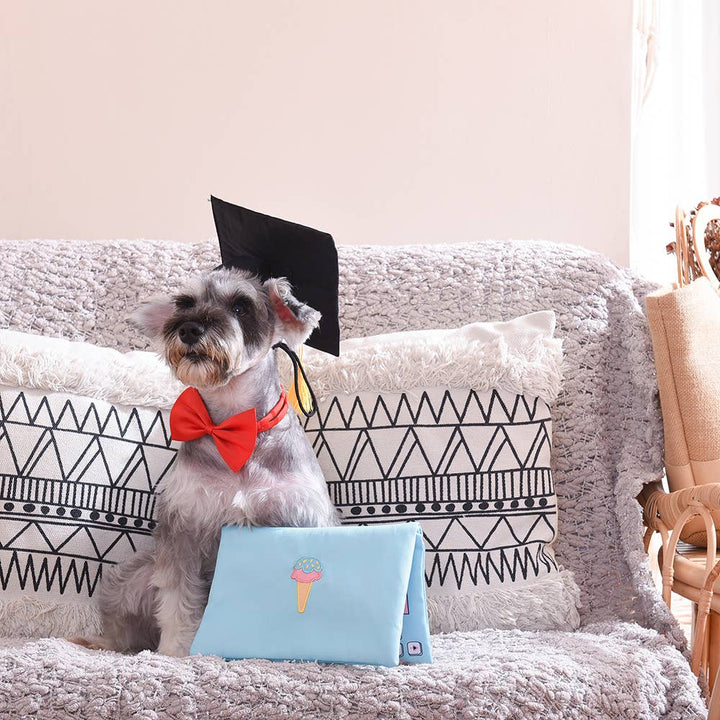 HugSmart Pooch Academy - Laptop Plush Dog Toy | Kanu Pet