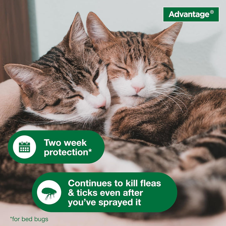 Advantage II Cats | Kanu Pet