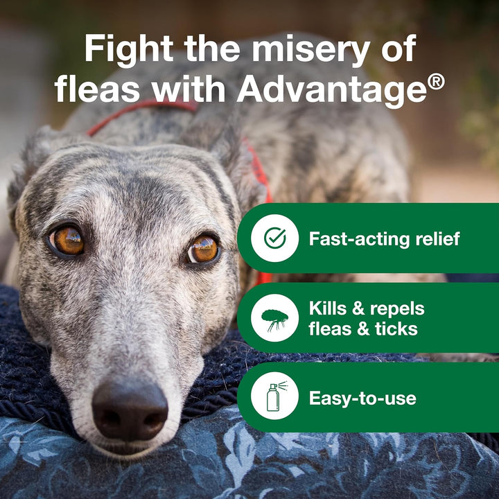 Advantage Topical & Indoor Flea & Tick Spray for Dogs / Puppies | Kanu Pet