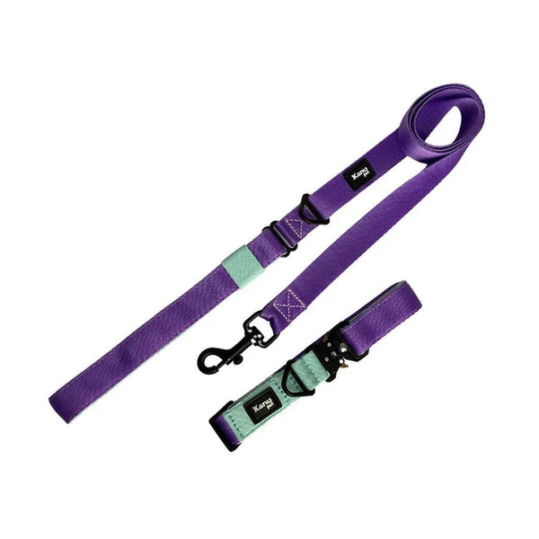 Kanu Pet Mint Green and Lilac Collar and Leash Combo for Dogs