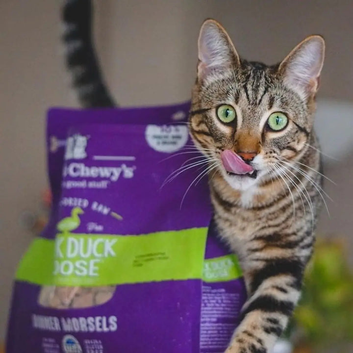 Stella & Chewy's Duck Goose Freeze Dried Cat Food| Kanu Pet