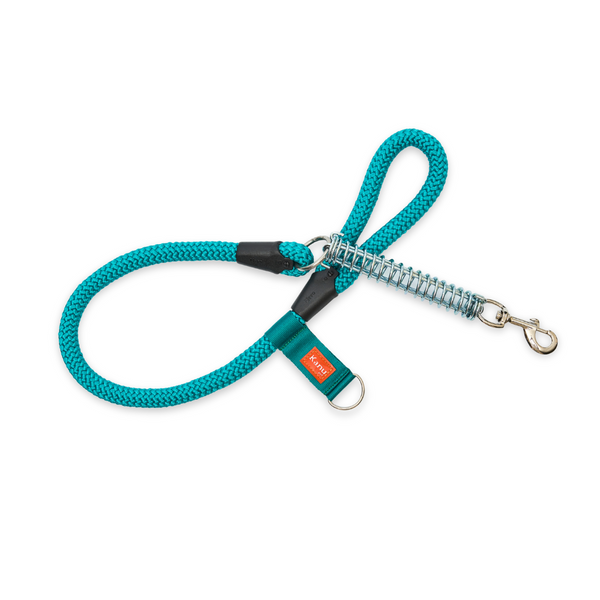 Kanu Pet Aqua Green Spring Dagger Dog Leash