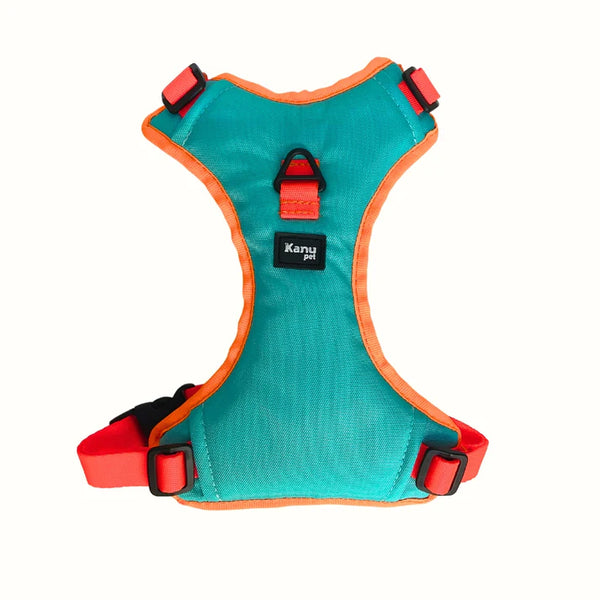 Kanu Pet Harness Mint Green Neon Orange for Dogs