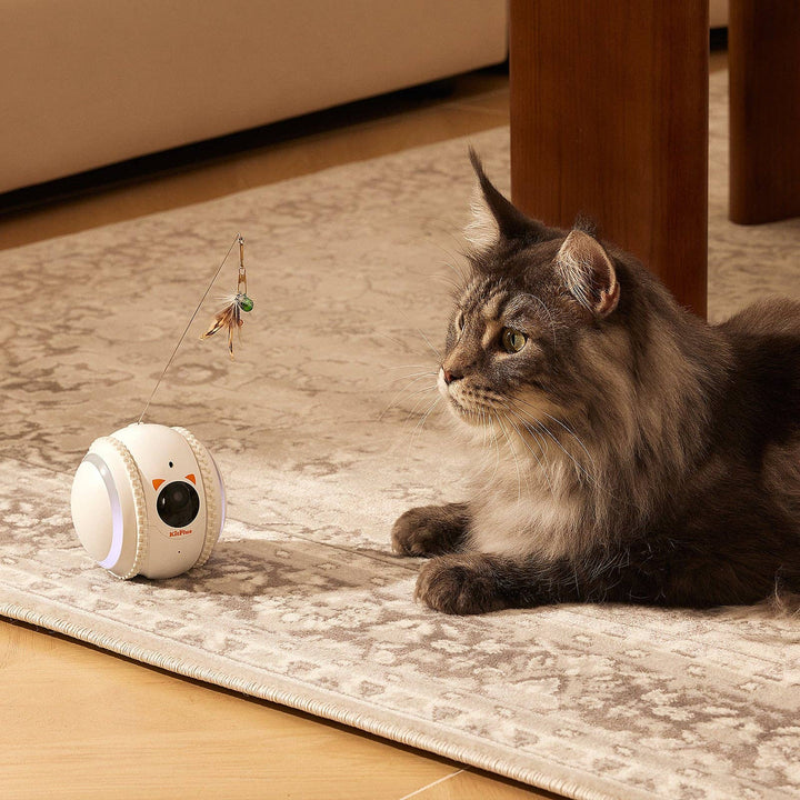 Curatepet Smart App Control Petpal Robot with Camera for Cats | Kanu Pet