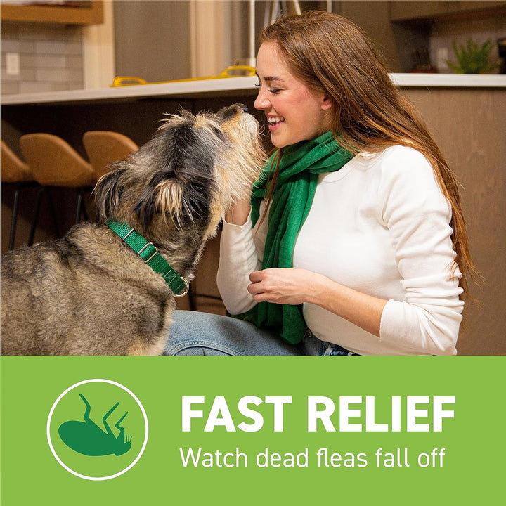 Capstar Flea Treatment for Dogs (25Lb Up) | Kanu Pet