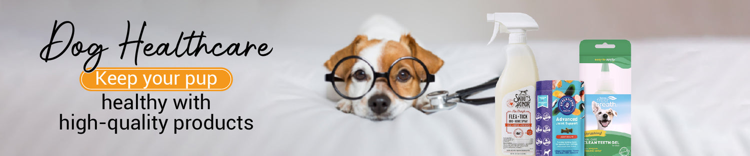 Banner_Dog_Healthcare-01
