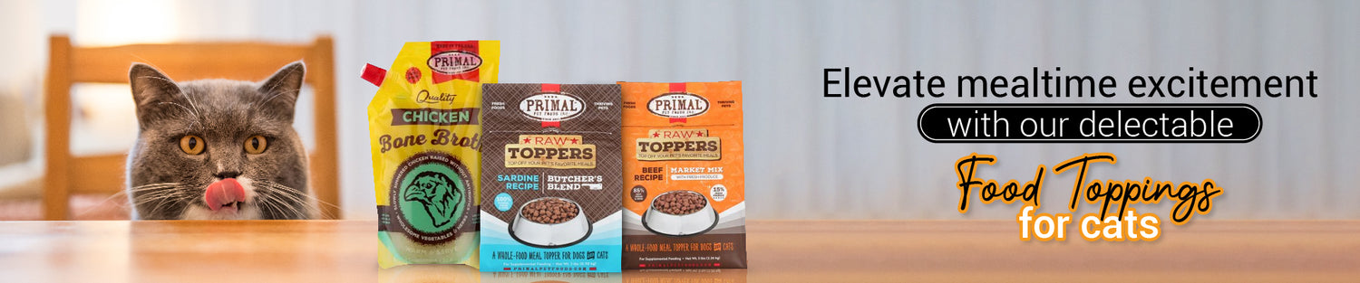elevate mealtime excitement with our  delectable