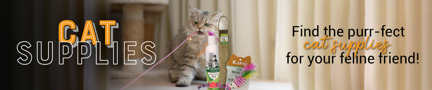 Banner_cat_supplies-01