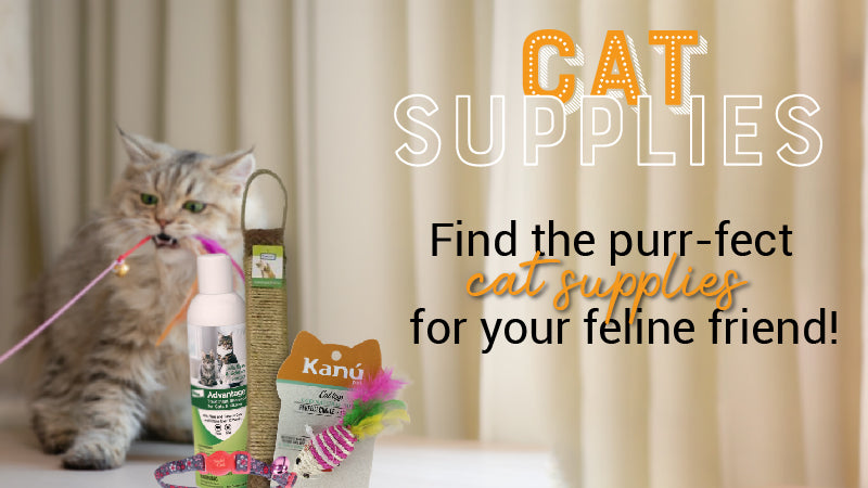 Banner_cat_supplies-02