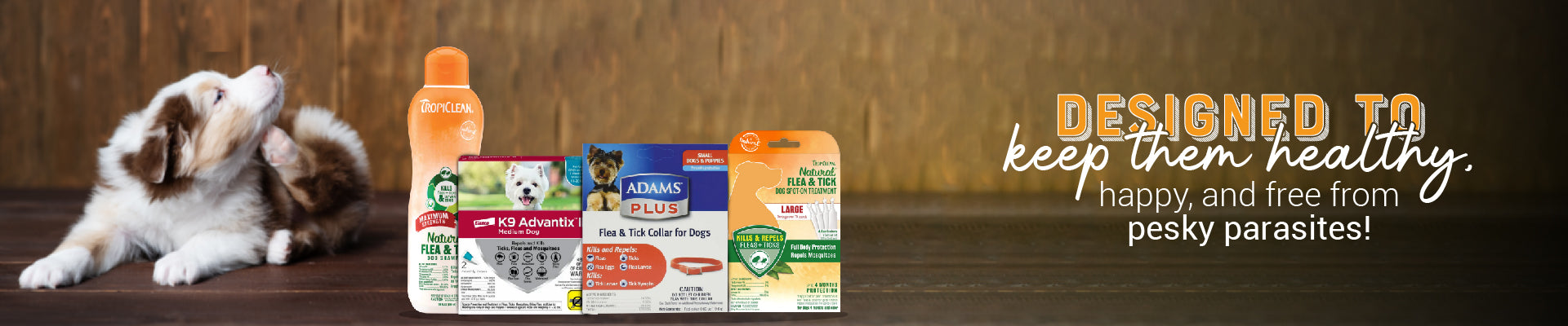 FLEA & TICKS ORAL – Kanu Pet